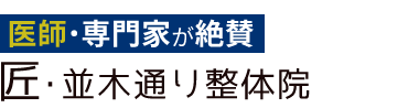 広島市中区「匠・並木通り整体院」 ロゴ